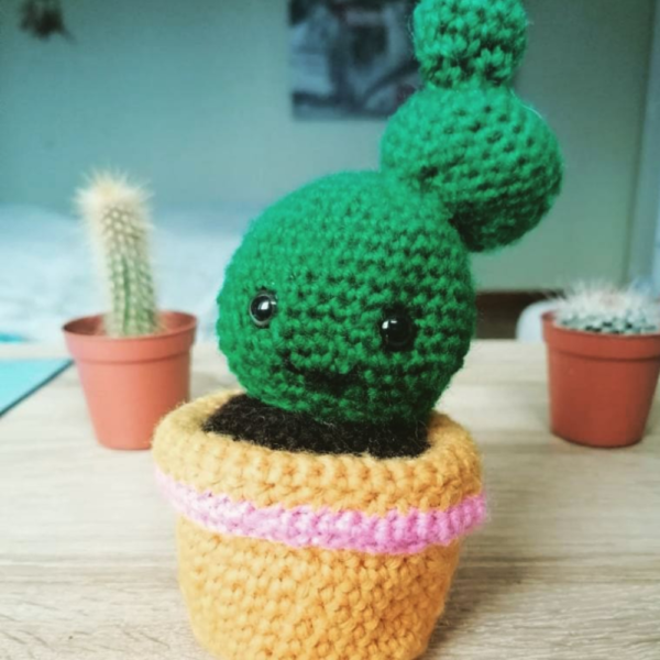 doudou cactus crochet