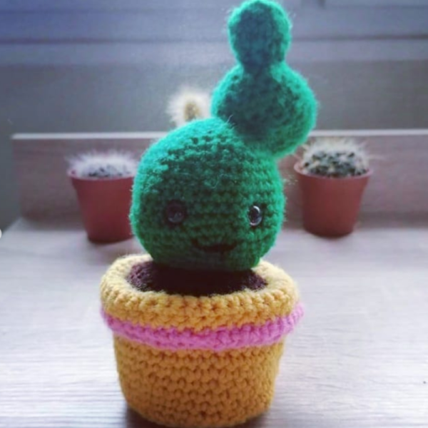 doudou cactus crochet