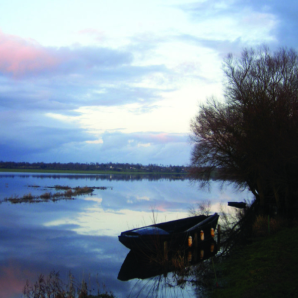 peinture marais de carentan