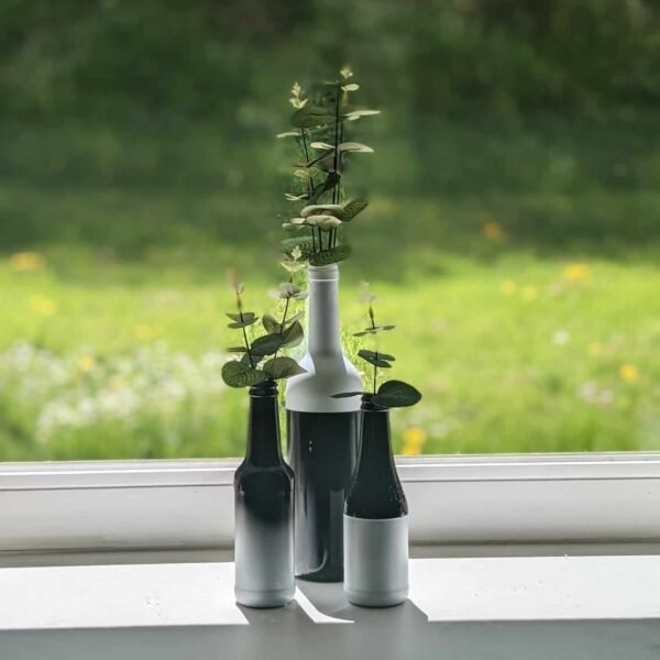 vases bouteilles