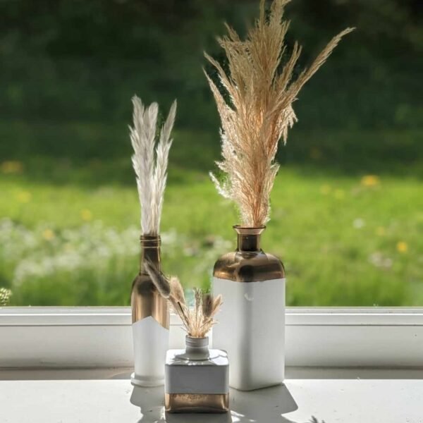 vases bouteilles