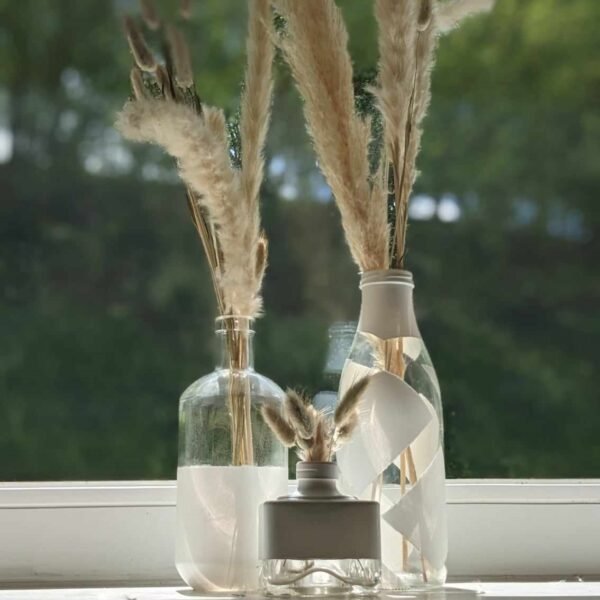 vases bouteilles