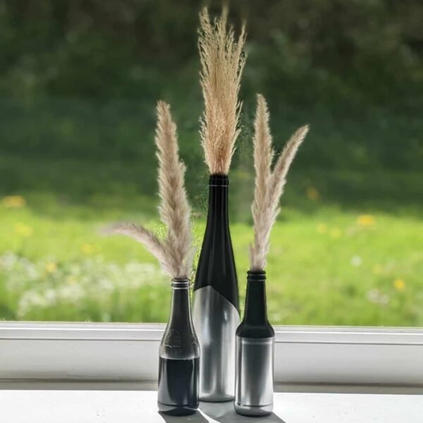 vases bouteilles