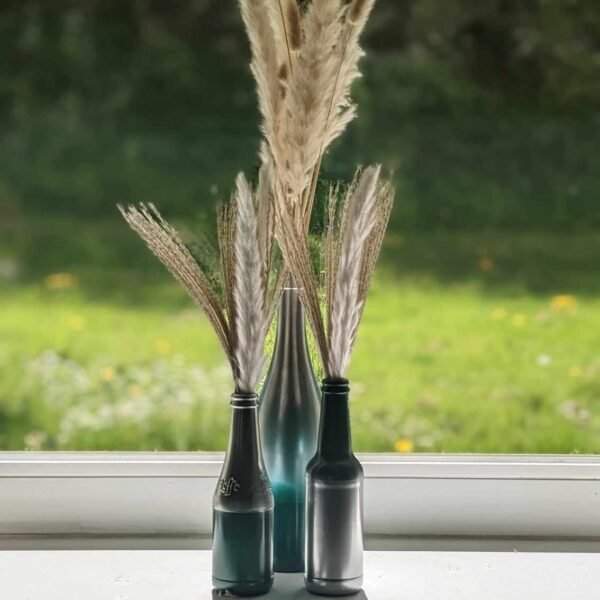 vases bouteilles