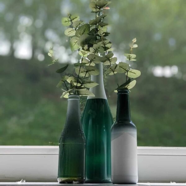 vases bouteilles